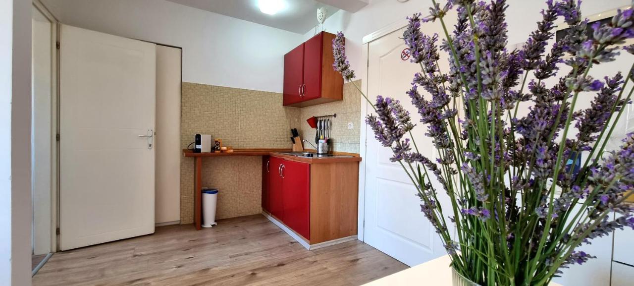 Tiny Studio Big Living Lägenhet Rovinj Exteriör bild